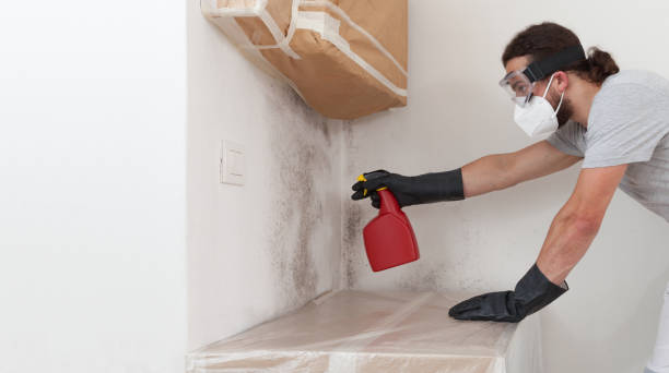 Professional Bathroom Mold Removal technician working in Newburg, PA