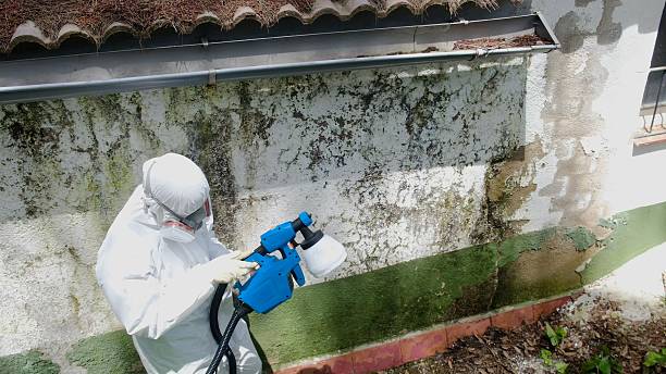 Top rated local Bathroom Mold Removal specialists in Newburg, PA